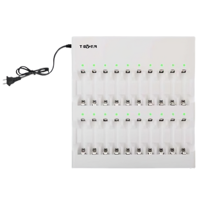 The VCharge AA 20